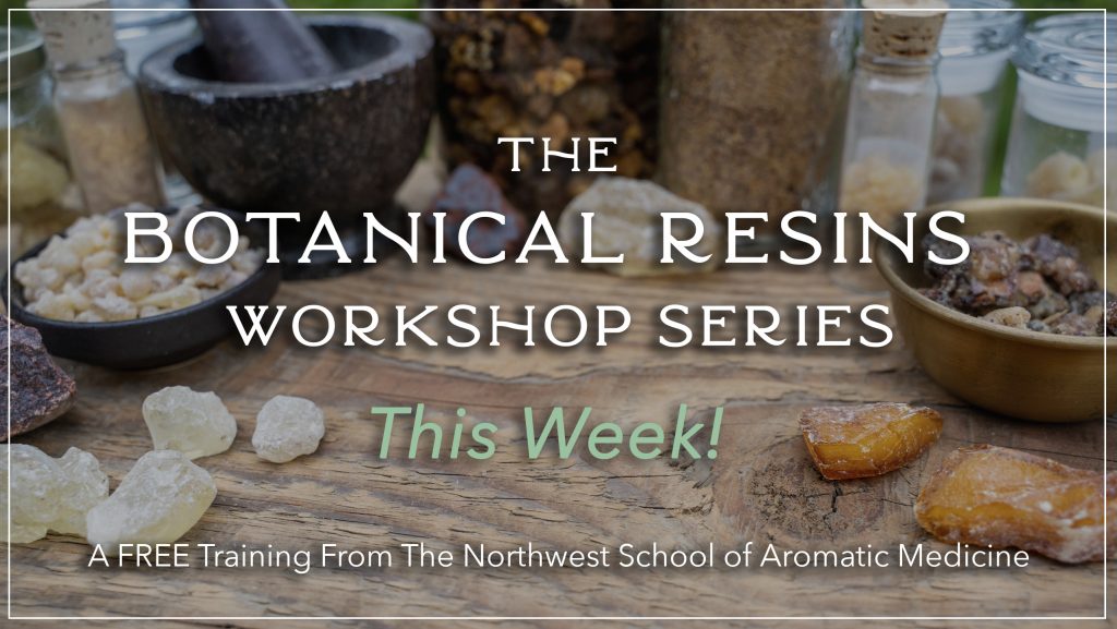 The Botanical Resins Workshop Series